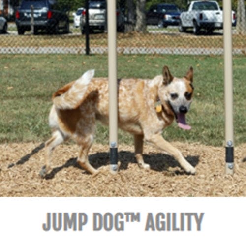 Dog Park Outfitters Agility preview 1